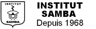Institut Samba